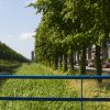 EMVI-plan tender gebiedsgericht onderhoud gemeente Zoetermeer